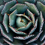 Lean Startup, day 14: Customer Acquisition