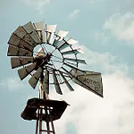 Lean Startup Adventure, day 16: Pivot