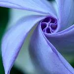 Lean Startup Adventure, day 2: The Idea