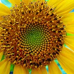 Lean Startup Adventure, day 8: designing Personas