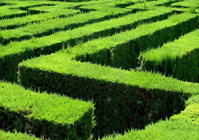 The Maze, jeu collaboratif hautement immersif