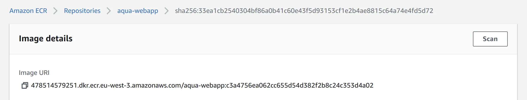 AWS ECR image uri