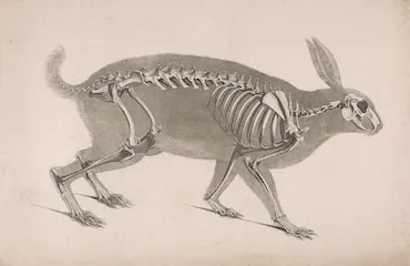 Dive Into GraphQL Part II: Anatomy of a GraphQL Query