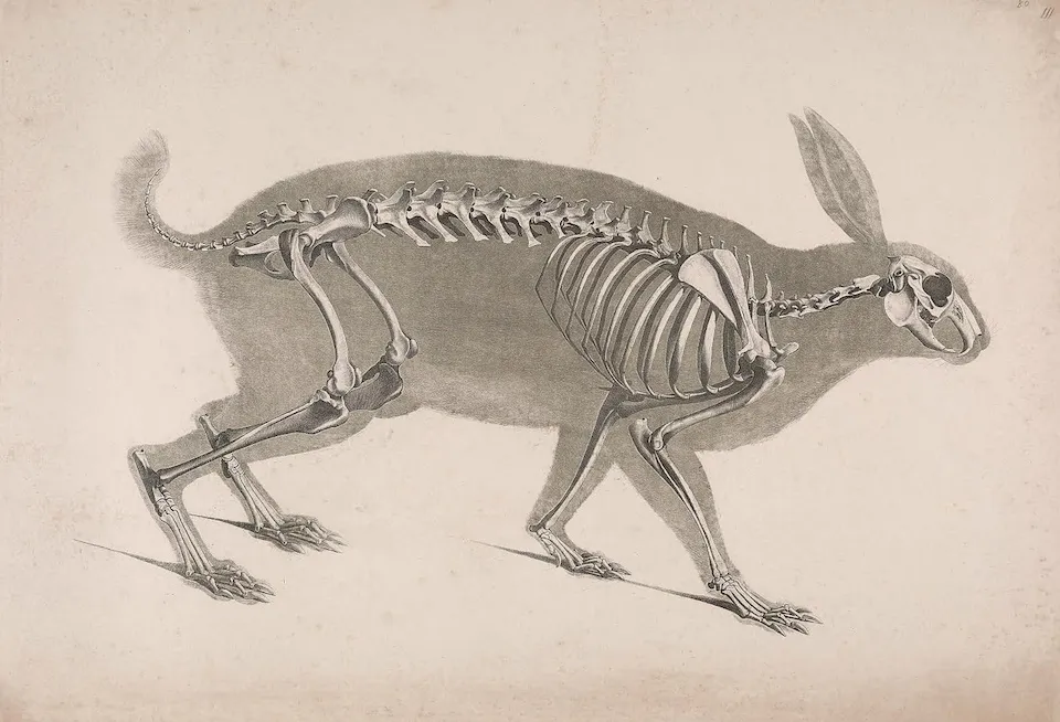 Dive Into GraphQL Part II: Anatomy of a GraphQL Query