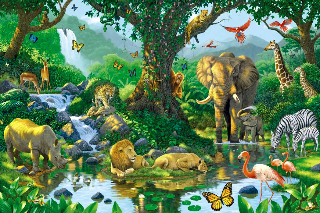OpenAPI dans la jungle du REST
