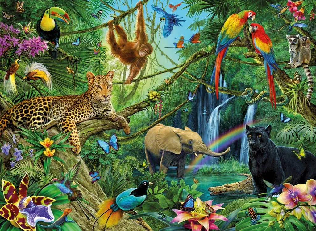 OpenAPI dans la jungle du REST