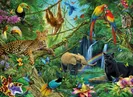 OpenAPI dans la jungle du REST