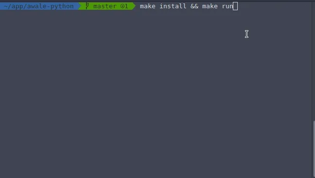 Capture Awale terminal