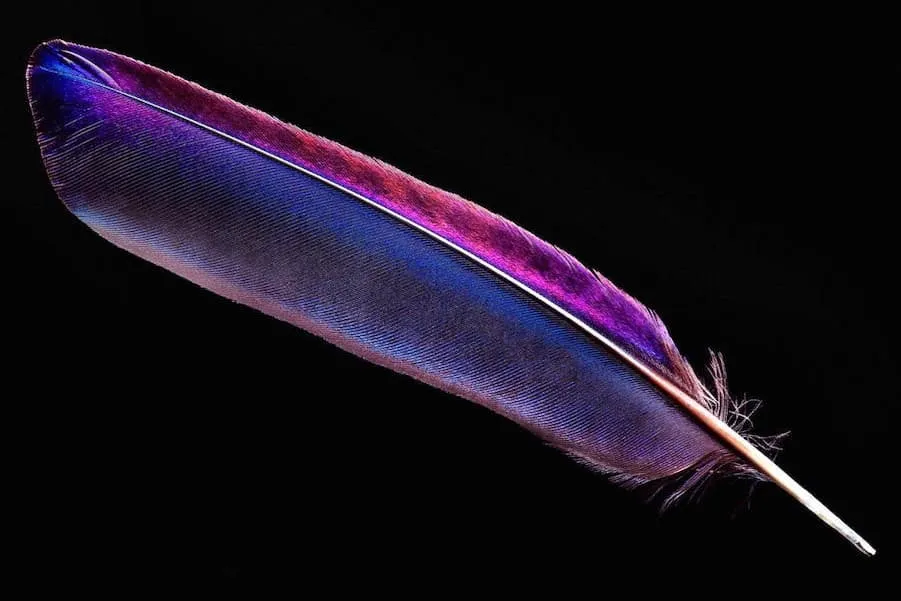 Using An SQLite Database Live In React-Admin