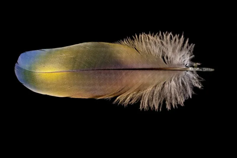 Using An SQLite Database Live In React-Admin