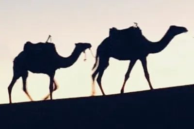 Programming A Space Invader In OCaml and OpenGL: Lessons Learned