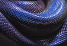 Quoridor: Playing A Maze Game On The Console With Python