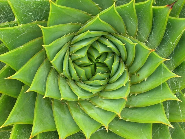 Fibonacci sequence generator in Go