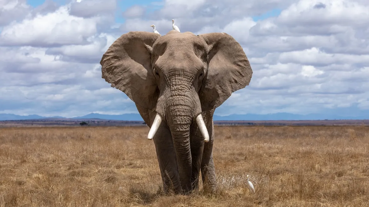 9 Advanced PostgreSQL Features I Wish I Knew Sooner