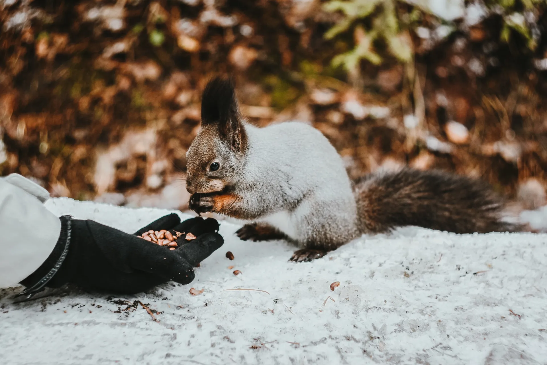 React-admin V4: No More Props Injection