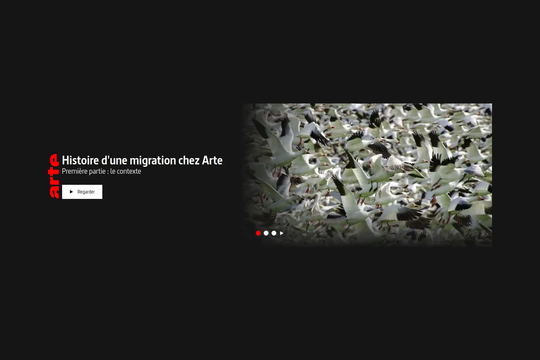 Histoire d'une migration chez Arte, partie 1/3 : le contexte