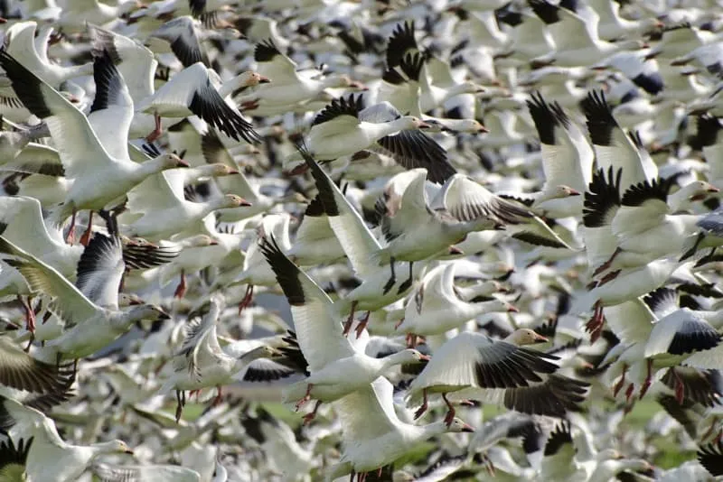 Histoire d'une migration chez Arte, partie 1/3 : le contexte