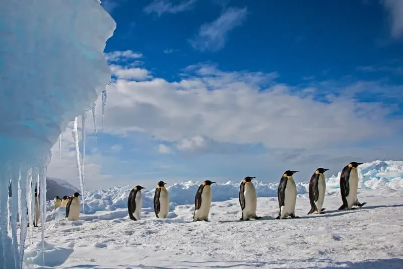 Histoire d'une migration chez Arte, partie 2/3 : la mise en place