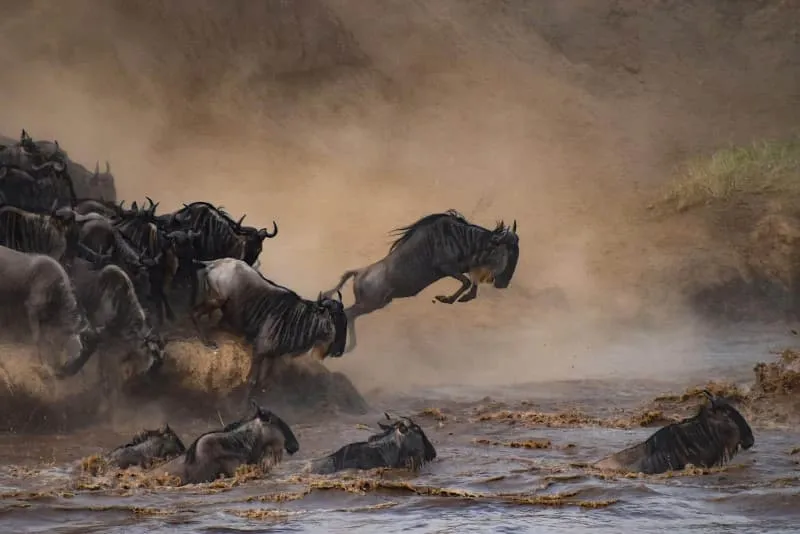 Histoire d'une migration chez Arte, partie 3/3 : action