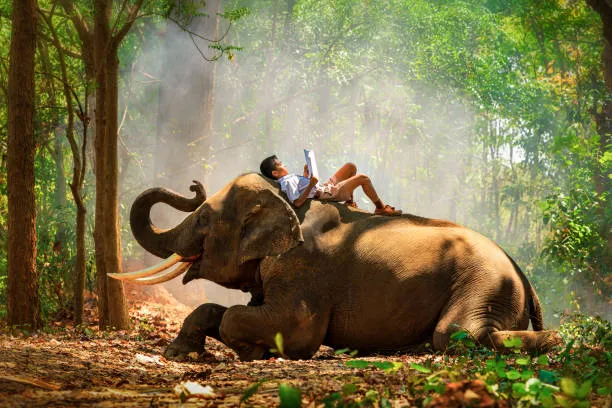 psql elephant asking an elephantine csv file questions