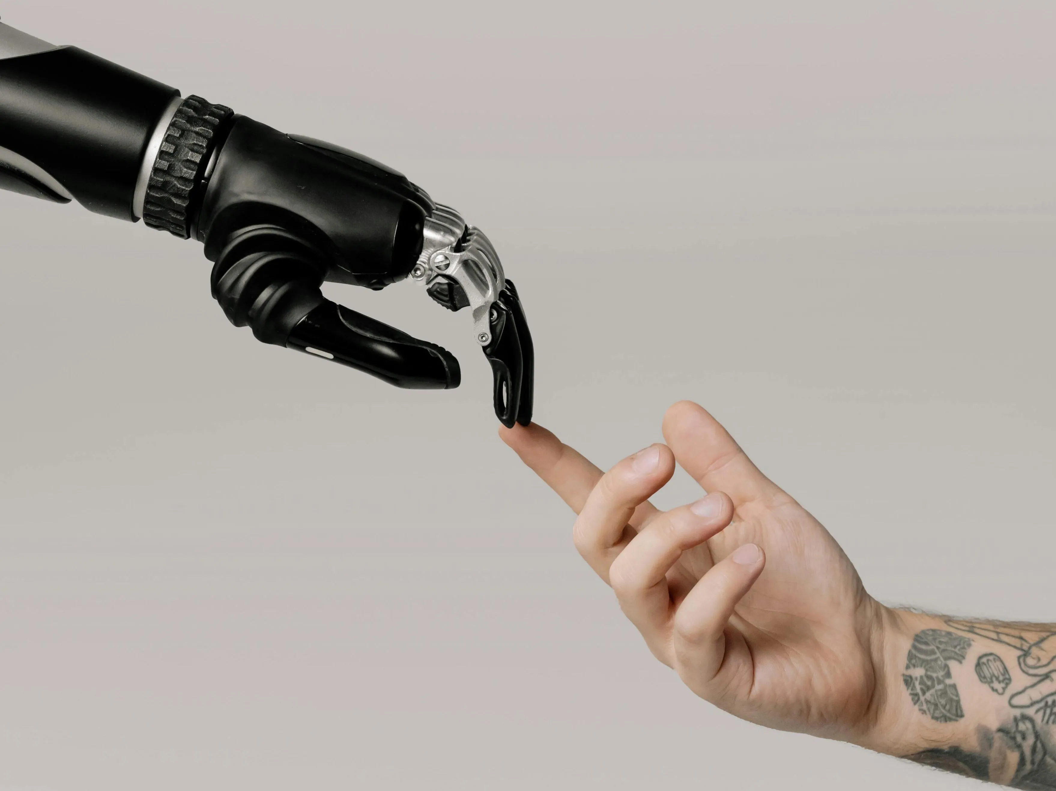 Using AI To Autofill Forms With Wikipedia