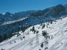 OpenTelemetry in Practice: Instrumenting JavaScript Apps for Tracing