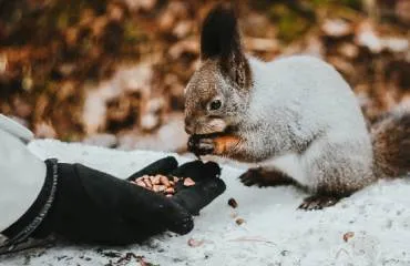 React-admin V4: No More Props Injection