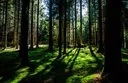 React Admin 3.3: Faster Navigation And Reduced Footprint Thanks To Application Cache 