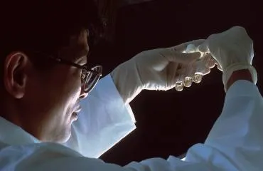 Comment réduire l’empreinte écologique d’un service numérique ?