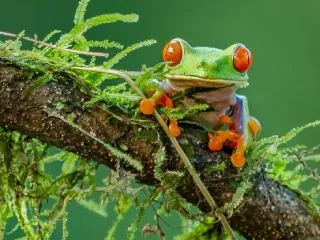 MCP Servers: Your Next User Is An AI Agent