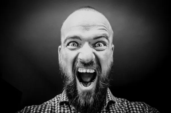 Comment organiser visuellement les gros formulaires ?