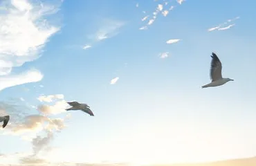 Supplying your own Defaults to React Admin