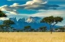 We've sold 10,000$ Worth Of Ether And Donated It All To Charities