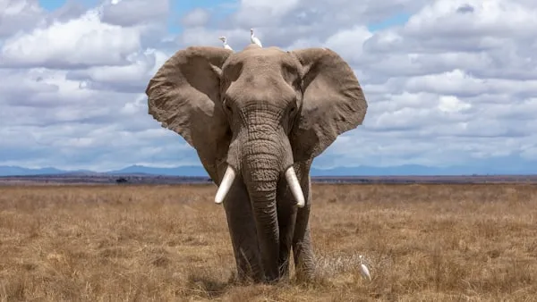 9 Advanced PostgreSQL Features I Wish I Knew Sooner