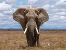 9 Advanced PostgreSQL Features I Wish I Knew Sooner
