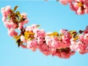 React Without useEffect