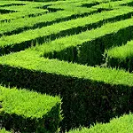 The Maze, jeu collaboratif hautement immersif