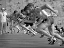 Testing Zero: Rocicorp's Ultra-Fast Sync Engine for the Web