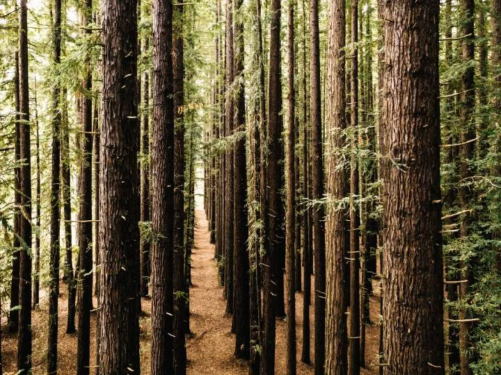 Photo by Josh Withers on Unsplash