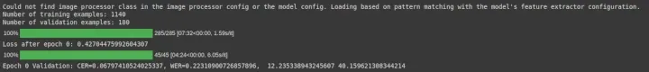 Results Obtained after One Epoch of Fine-Tuning