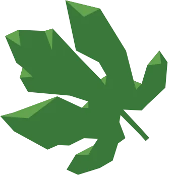 eve Logo
