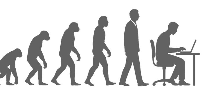 Evolution of programmer